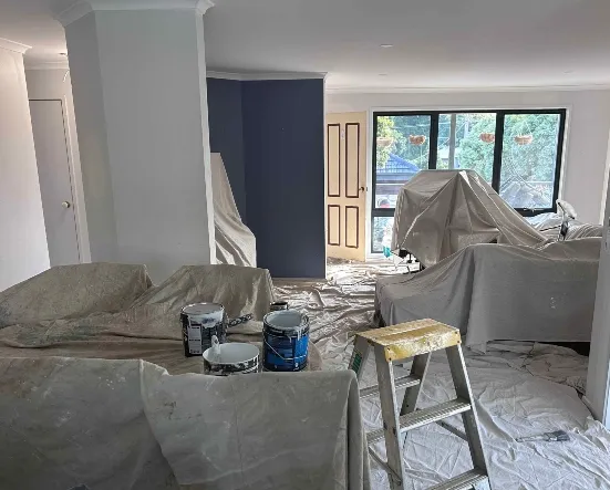 Property Home Repaint
