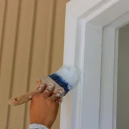 Door Trim Painting